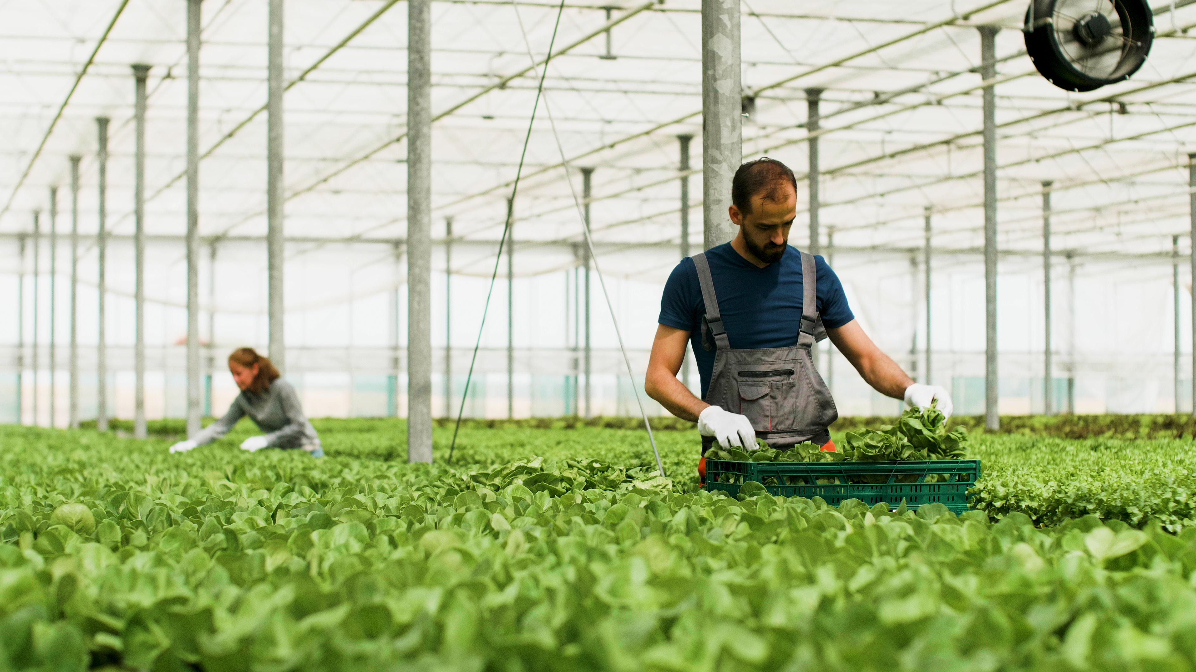 Farming and tech